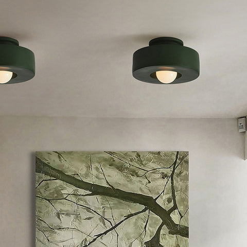Nordic Minimalist Ceiling Mounted Personalized Lighting Fixtures